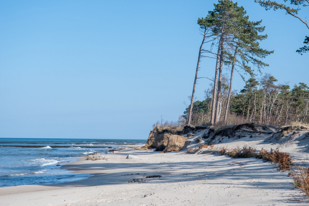 Dzikie plaże nad Bałtykiem - czy rzeczywiście już ich nie ma?